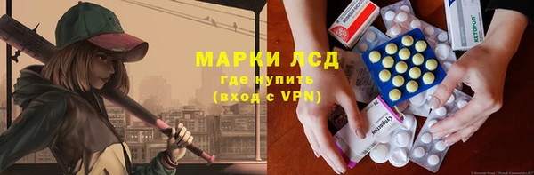 PSILOCYBIN Балабаново