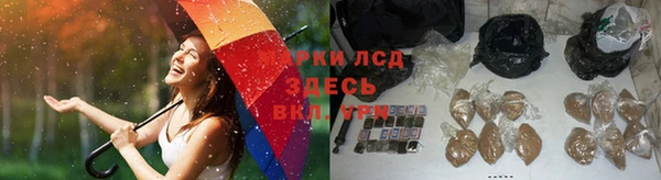 PSILOCYBIN Балабаново
